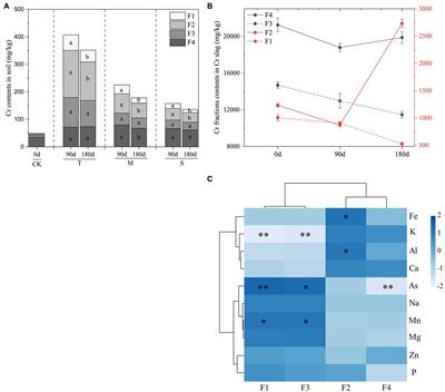 Insight into functional microorganisms in wet–dry conversion to alleviate the toxicity of chromium fractions in red soil